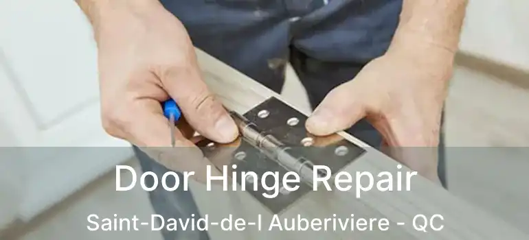  Door Hinge Repair Saint-David-de-l Auberiviere - QC