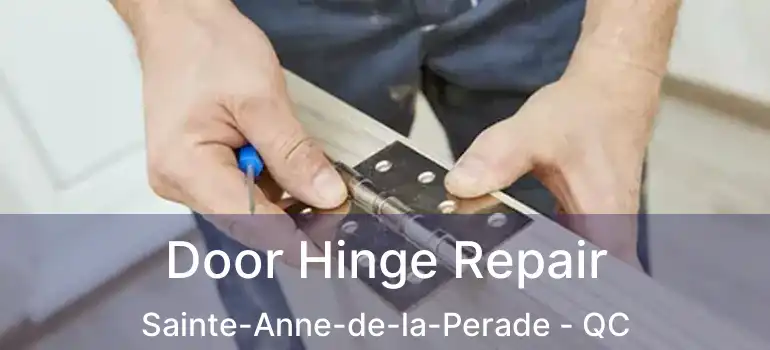  Door Hinge Repair Sainte-Anne-de-la-Perade - QC