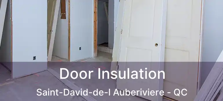  Door Insulation Saint-David-de-l Auberiviere - QC