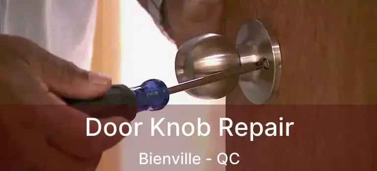  Door Knob Repair Bienville - QC