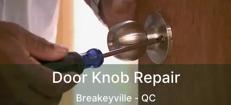  Door Knob Repair Breakeyville - QC
