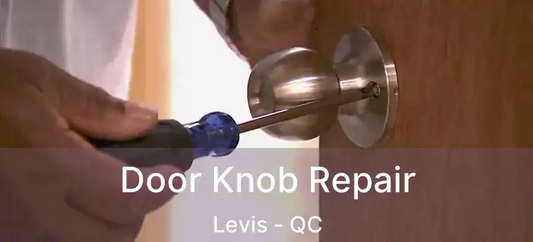  Door Knob Repair Levis - QC