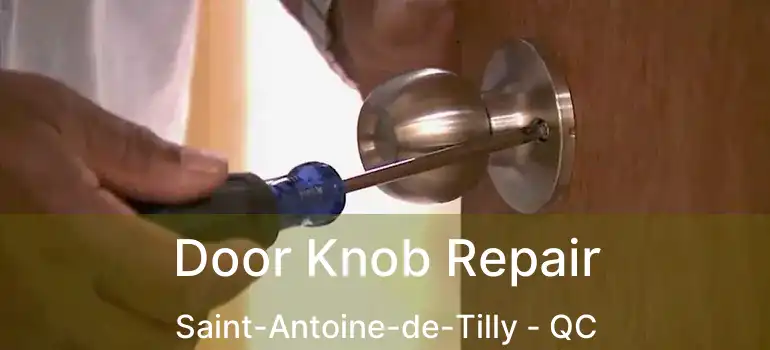  Door Knob Repair Saint-Antoine-de-Tilly - QC