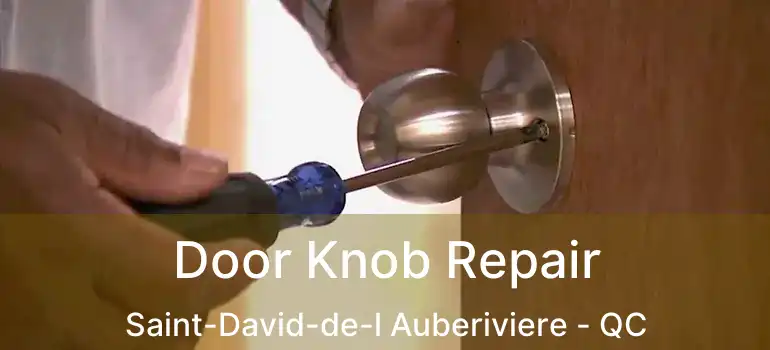  Door Knob Repair Saint-David-de-l Auberiviere - QC