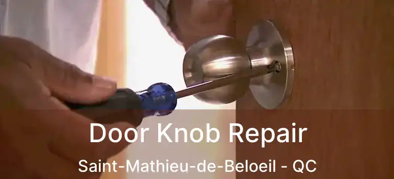  Door Knob Repair Saint-Mathieu-de-Beloeil - QC