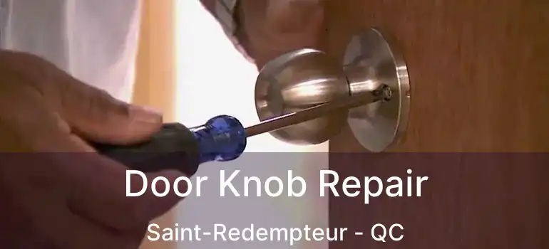  Door Knob Repair Saint-Redempteur - QC