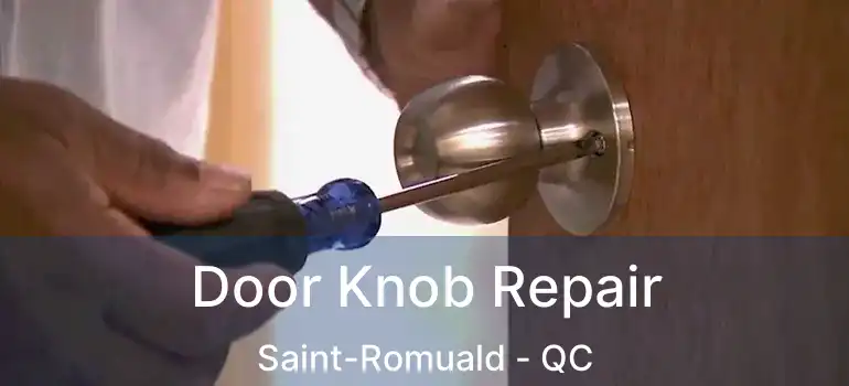  Door Knob Repair Saint-Romuald - QC