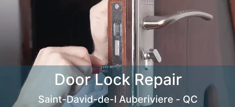  Door Lock Repair Saint-David-de-l Auberiviere - QC