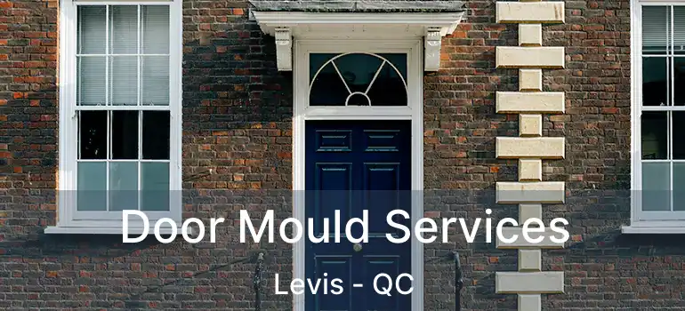  Door Mould Services Levis - QC