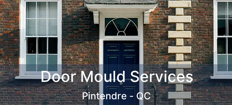  Door Mould Services Pintendre - QC