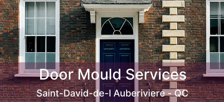  Door Mould Services Saint-David-de-l Auberiviere - QC