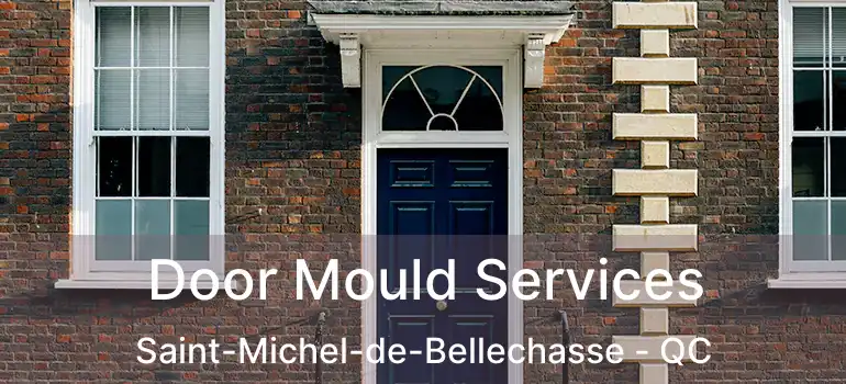  Door Mould Services Saint-Michel-de-Bellechasse - QC