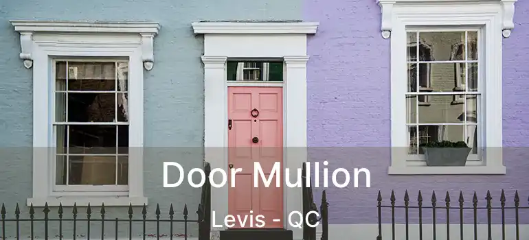  Door Mullion Levis - QC