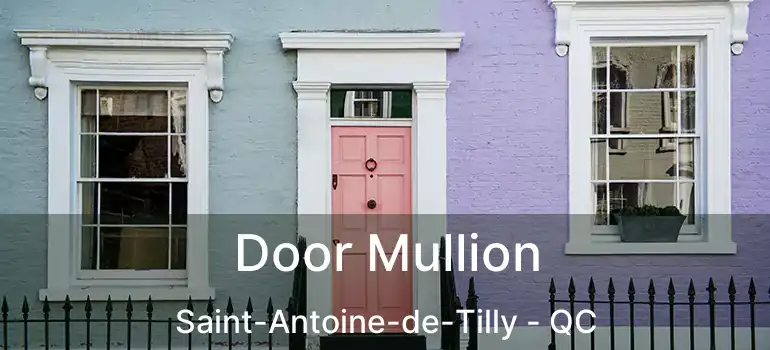  Door Mullion Saint-Antoine-de-Tilly - QC