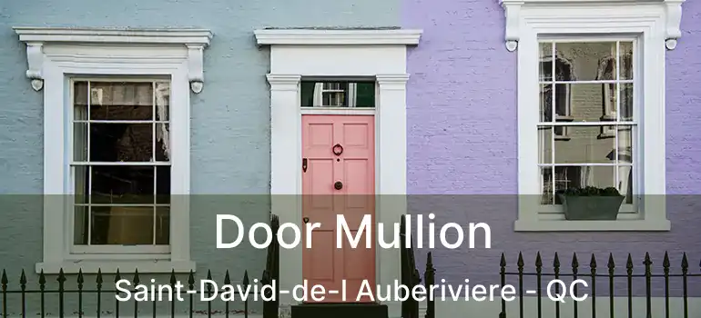  Door Mullion Saint-David-de-l Auberiviere - QC