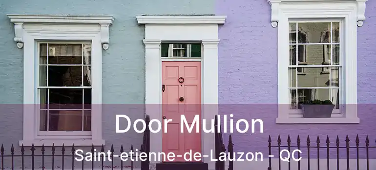  Door Mullion Saint-etienne-de-Lauzon - QC