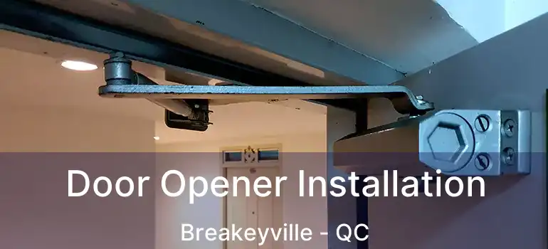  Door Opener Installation Breakeyville - QC