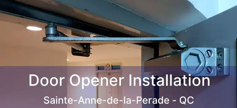  Door Opener Installation Sainte-Anne-de-la-Perade - QC