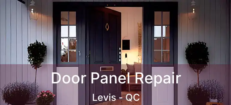  Door Panel Repair Levis - QC