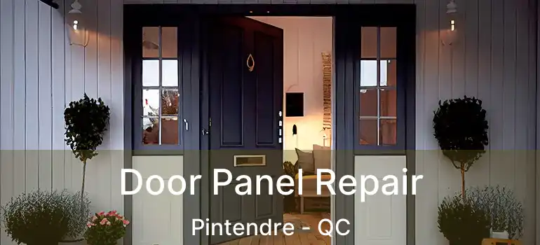  Door Panel Repair Pintendre - QC