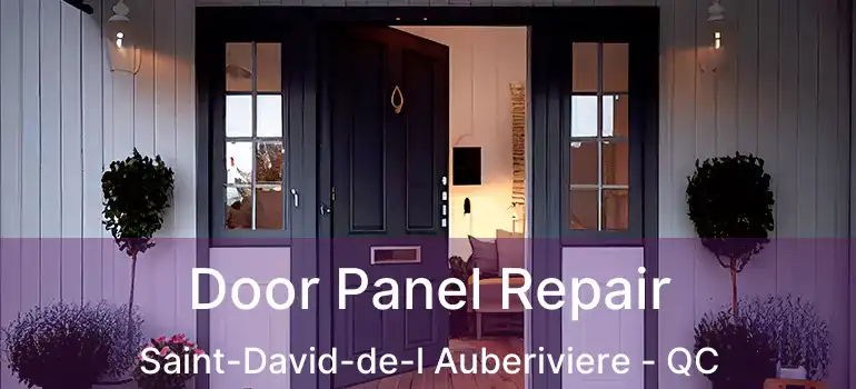  Door Panel Repair Saint-David-de-l Auberiviere - QC