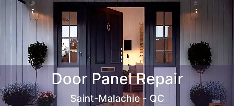  Door Panel Repair Saint-Malachie - QC
