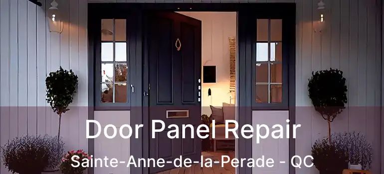  Door Panel Repair Sainte-Anne-de-la-Perade - QC