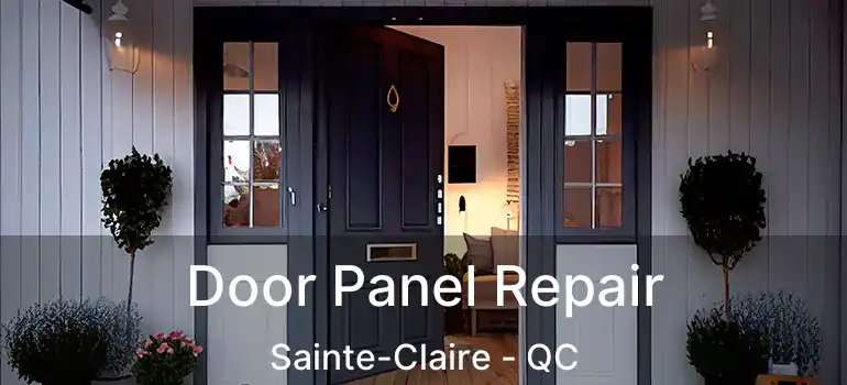  Door Panel Repair Sainte-Claire - QC