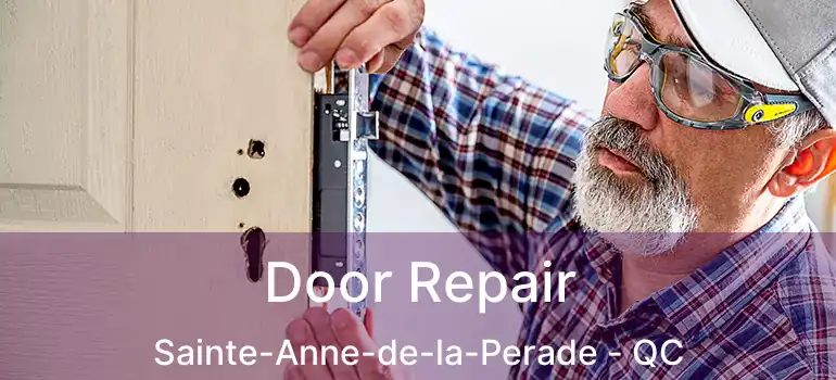  Door Repair Sainte-Anne-de-la-Perade - QC