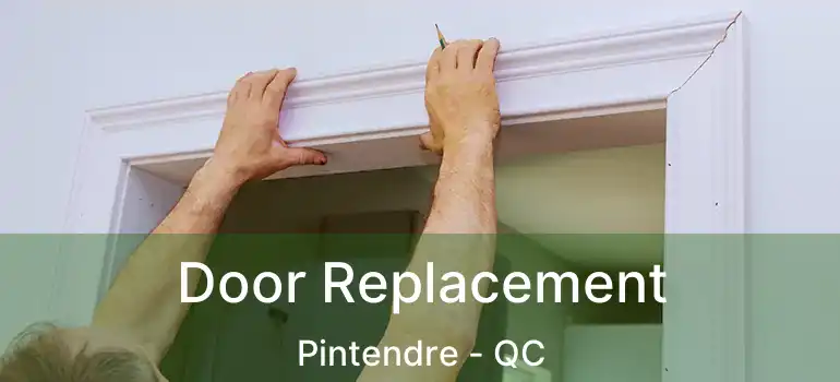 Door Replacement Pintendre - QC
