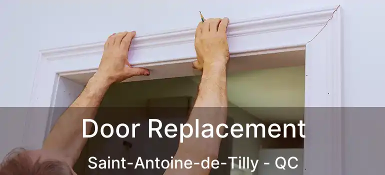 Door Replacement Saint-Antoine-de-Tilly - QC
