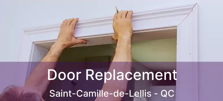  Door Replacement Saint-Camille-de-Lellis - QC