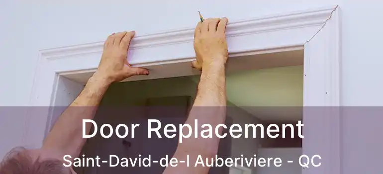  Door Replacement Saint-David-de-l Auberiviere - QC