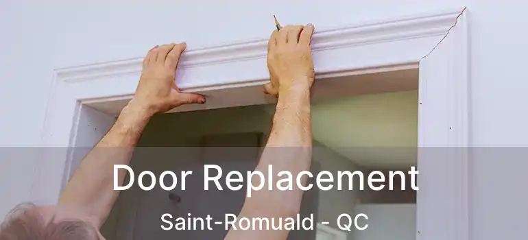  Door Replacement Saint-Romuald - QC