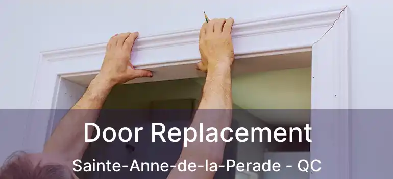  Door Replacement Sainte-Anne-de-la-Perade - QC