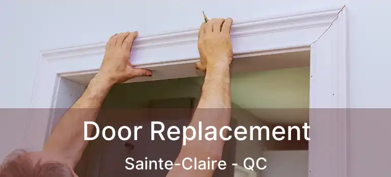  Door Replacement Sainte-Claire - QC