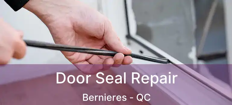  Door Seal Repair Bernieres - QC