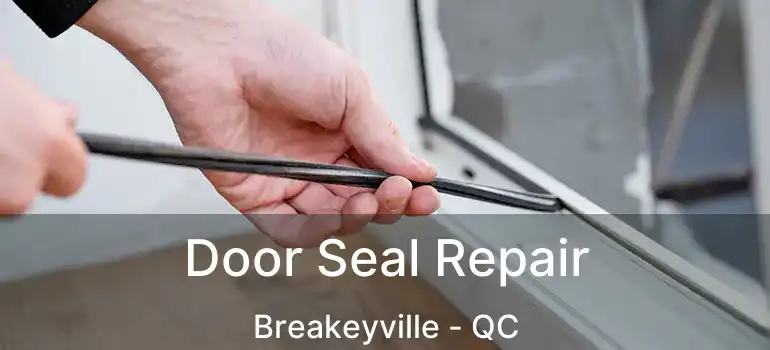  Door Seal Repair Breakeyville - QC