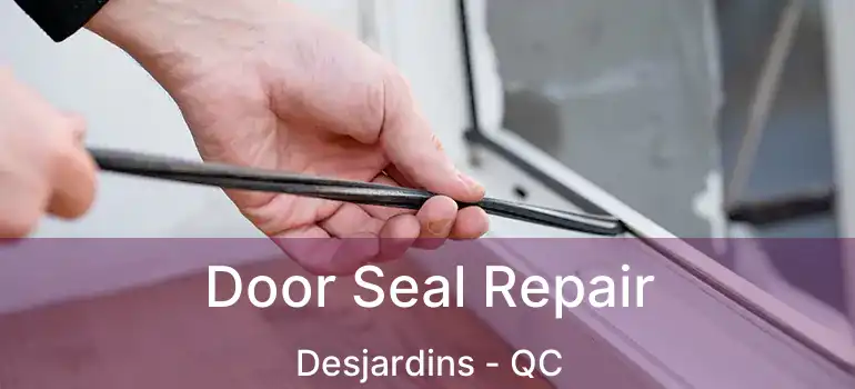  Door Seal Repair Desjardins - QC
