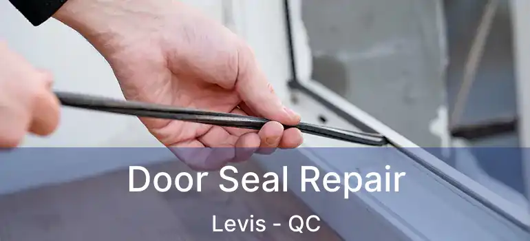  Door Seal Repair Levis - QC