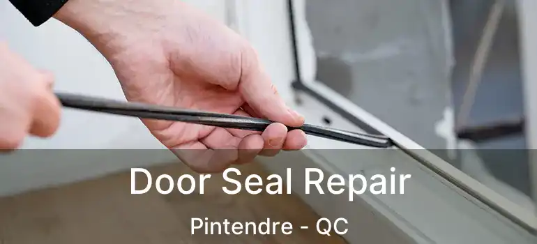  Door Seal Repair Pintendre - QC