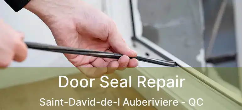  Door Seal Repair Saint-David-de-l Auberiviere - QC