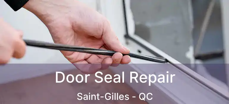  Door Seal Repair Saint-Gilles - QC