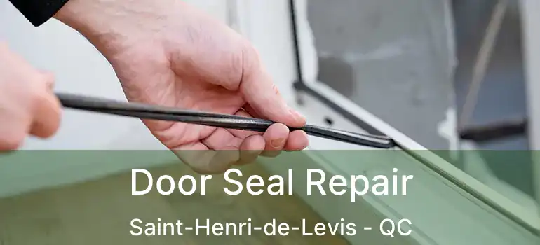  Door Seal Repair Saint-Henri-de-Levis - QC
