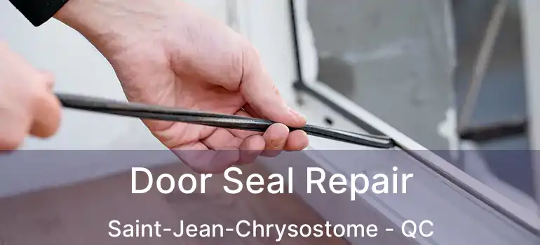  Door Seal Repair Saint-Jean-Chrysostome - QC