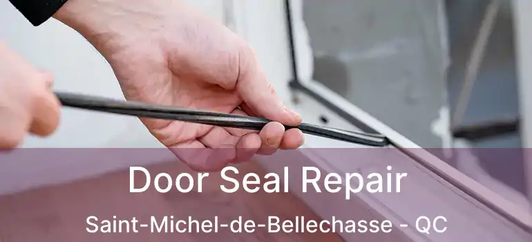  Door Seal Repair Saint-Michel-de-Bellechasse - QC