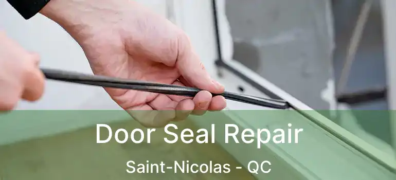  Door Seal Repair Saint-Nicolas - QC
