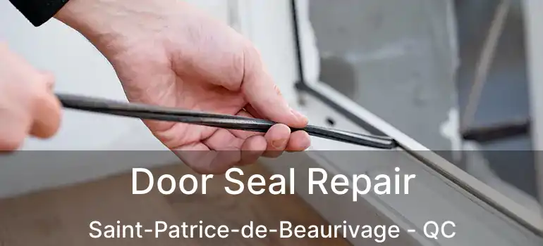  Door Seal Repair Saint-Patrice-de-Beaurivage - QC