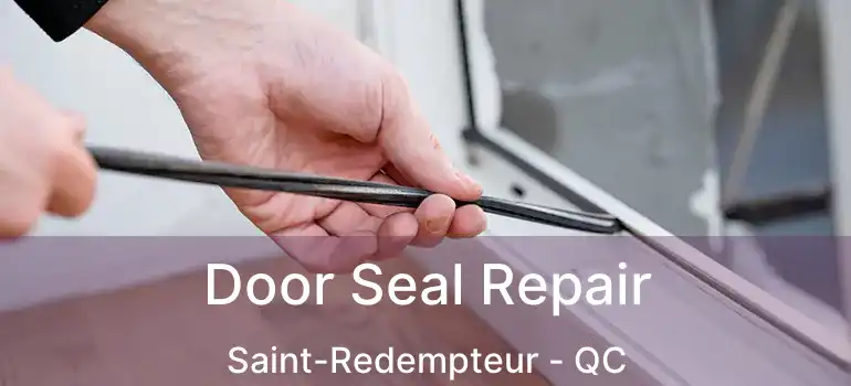  Door Seal Repair Saint-Redempteur - QC