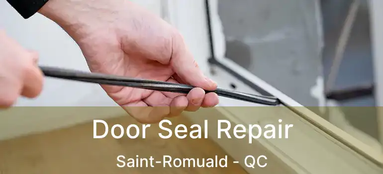  Door Seal Repair Saint-Romuald - QC